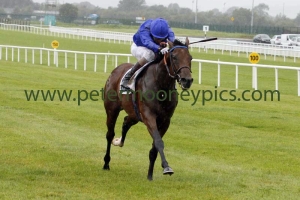 herald-the-dawn-230815pml678 herald-the-dawn-230815pml678