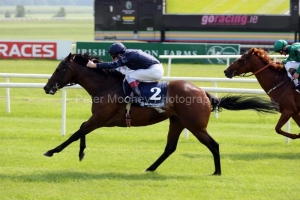 Henrythenavigator PML 0069131.JPG Henrythenavigator PML 0069131.JPG