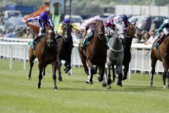 Astronomer Royal PML 0069062.JPG