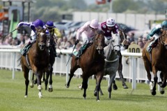 Astronomer Royal PML 0069064.JPG