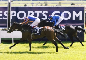 Again PML 0091312.JPG Again PML 0091312.JPG