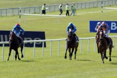 Again PML 0091181.JPG