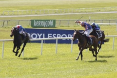 Again PML 0091291.JPG