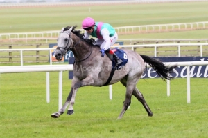 Field Of Gold 240525PML0964.jpg