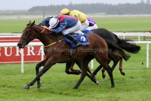 Caught U Looking 240923PML0830.jpg