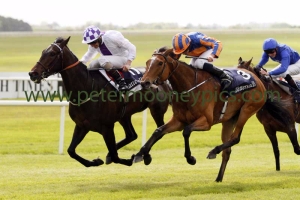 pleascach-240515pml782 pleascach-240515pml782