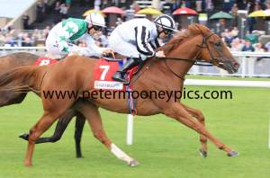 come-to-heel-pml-00135413 come-to-heel-pml-00135413