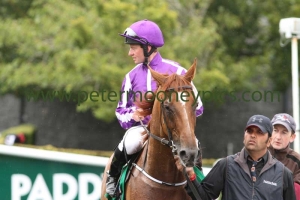 hall-of-mirrors-240814pml0578 hall-of-mirrors-240814pml0578