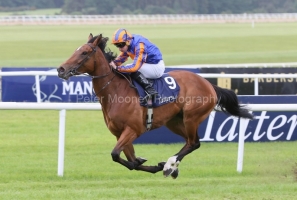 Lake Victoria 250525PML1365.jpg