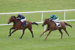 Duke Of Marmalade PML 0069479.JPG