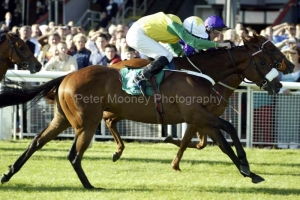 Kestrel Cross PML0000918.jpg Kestrel Cross PML0000918.jpg