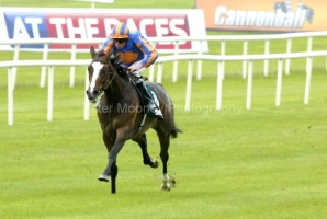 Misty For Me-PML 00157299 Misty For Me-PML 00157299