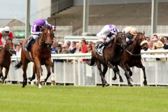 Experience-PML 00157272