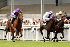 Experience-PML 00157275