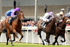 Experience-PML 00157279