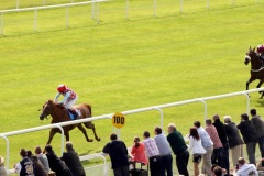 Red Cadeaux-PML 00157324