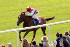 Red Cadeaux-PML 00157327