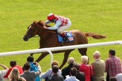 Red Cadeaux-PML 00157330