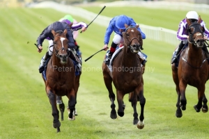 Flag-Of-Honour-250818PML0529 Flag-Of-Honour-250818PML0529