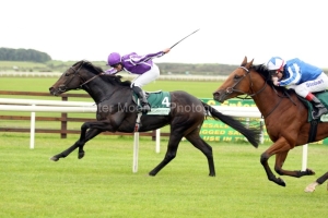 David Livingstone-PML 00164651 David Livingstone-PML 00164651