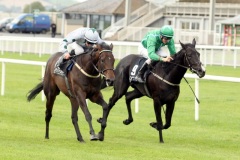 Coral Wave-PML 00164594