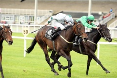 Coral Wave-PML 00164596