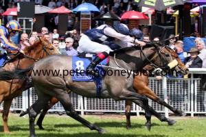 glassatura-pml-00125422 glassatura-pml-00125422