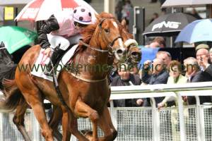 great-minds-250514pml0272 great-minds-250514pml0272