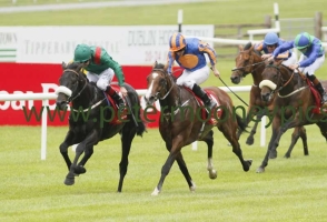 harzand-250616pml0672 harzand-250616pml0672