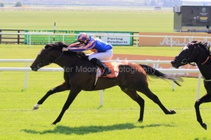 Power-PML 00186701 Power-PML 00186701