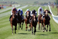 Cay-Verde-PML 00186598