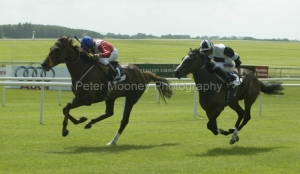 Chorist PML0000958.jpg Chorist PML0000958.jpg