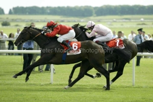 Hurricane Run PMOO323721.jpg Hurricane Run PMOO323721.jpg