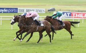 Dar Re Mi PML 0095265.JPG Dar Re Mi PML 0095265.JPG