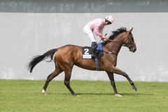 Dar Re Mi PML 0095262.JPG