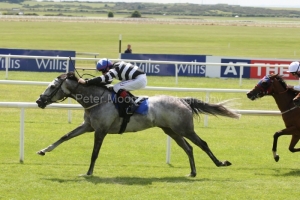 Chinese White PML 00126484.JPG Chinese White PML 00126484.JPG