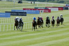 Chinese White PML 00126454.JPG