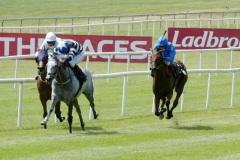 Chinese White PML 00126473.JPG