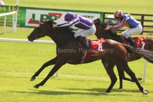 Treasure Beach-PML 00157550 Treasure Beach-PML 00157550