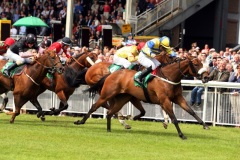 Invincible Ash-PML 00157499