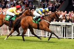 Invincible Ash-PML 00157506