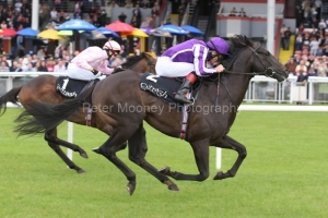 Alfred Nobel PML 0097108.JPG Alfred Nobel PML 0097108.JPG