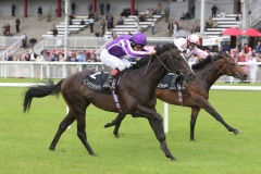 Alfred Nobel PML 0097102.JPG