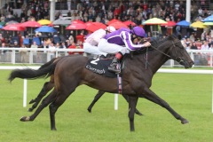 Alfred Nobel PML 0097106.JPG