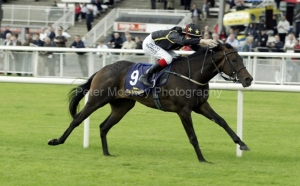 Invincible Force PML009487.jpg Invincible Force PML009487.jpg