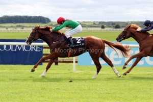 First Cornerstone-PML 00194674 First Cornerstone-PML 00194674