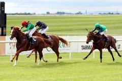 First Cornerstone-PML 00194672