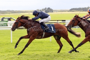 26 August 2018;   ANTHONY VAN DYCK, Ryan Moore up, defeating stablemate, Christmas, Seamie Heffernan up, in The Galileo Irish European Breeders Fund Futurity Stakes at The Curragh.      © Peter Mooney, 59 Upper George's Street, Dun Laoghaire, Co. Dublin, Ireland.    Tel:  00 353 (0)86 2589298