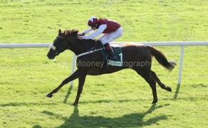 Casamento PML 00135187 Casamento PML 00135187