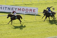 Casamento PML 00135180